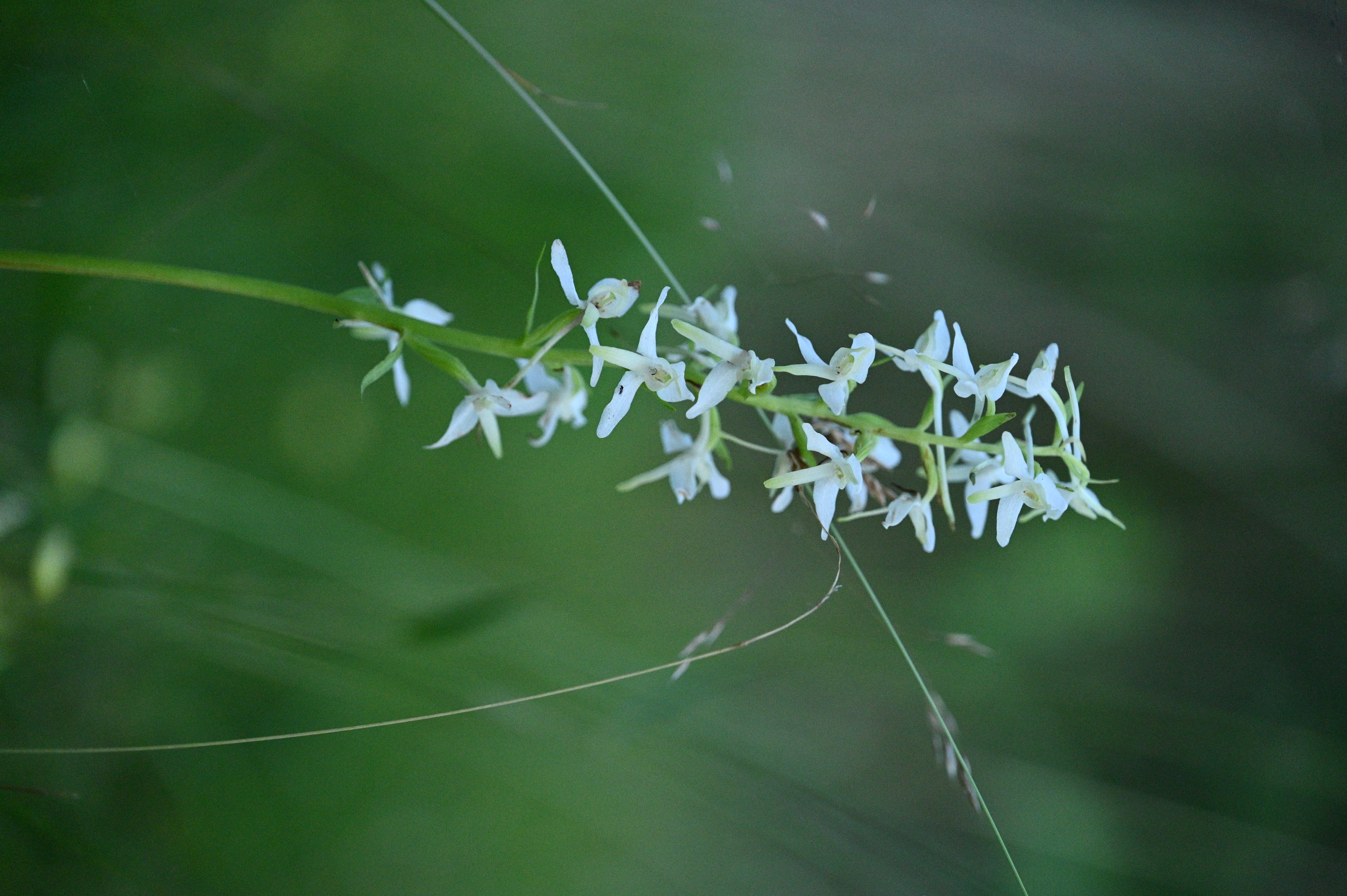 2025/07/09-14 - trip/DSC_0649.JPG